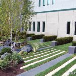 Healing Garden - Chicago Landscaping Project
