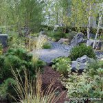 Healing Garden - Chicago Landscaping Project