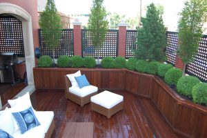 Colorado Setting - Chicago Roof Deck Project