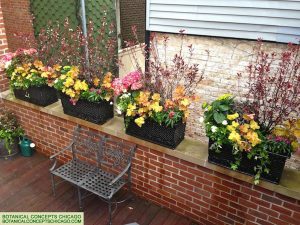 Spring Containers