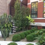 Architecture in Greenery - Chicago Landscaping Project
