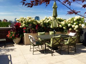 Heaven on Burling - Chicago Roof Deck Project