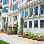 Lake Shore Drive Living - Chicago Landscaping Project