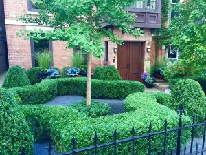 Artscaping - Chicago Landscaping Project