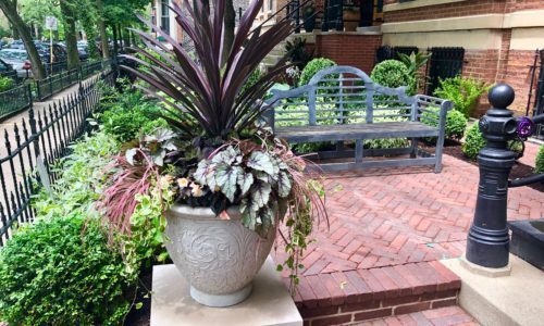 Hardscaping Services in Chicago - Brick Patio with Landscaping