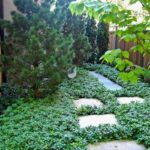 The Art of Simplicity - Chicago Landscaping Project