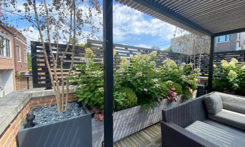 Chicago Rooftop Deck - Terrace to the Sky