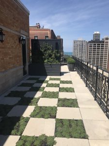 Chicago Rooftop Design and Landscaping: The Ambassador