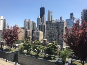 Chicago Rooftop Decks - Roof Deck Design & Construction