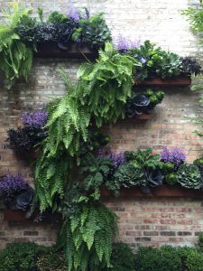 Vertical Gardening - Chicago Wall Garden