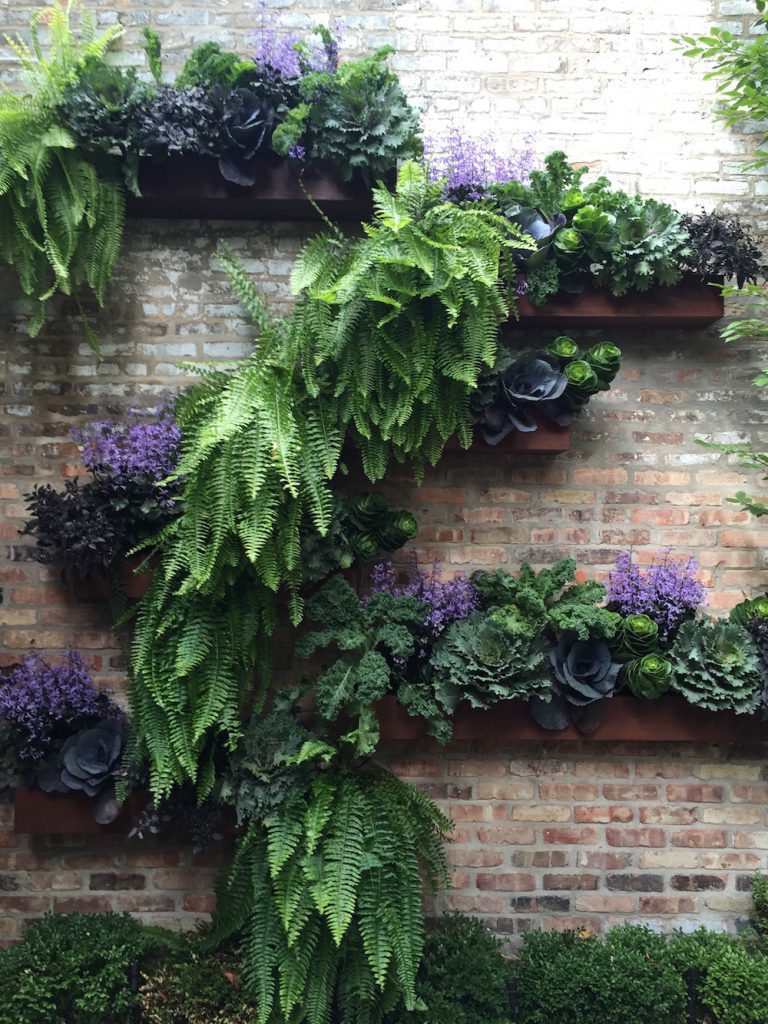 Vertical Gardening - Chicago Wall Garden