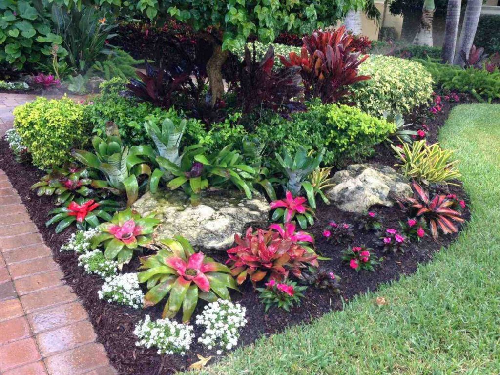 tropical landscaping