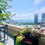 Lakefront Luxury - Green Rooftop Design Chicago