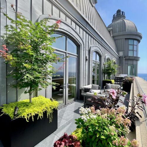 Lakefront Luxury - Chicago Rooftop Deck Design Services - Green Roof Deck